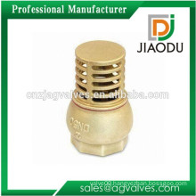 Alibaba china hot sell brass strainer with check valve